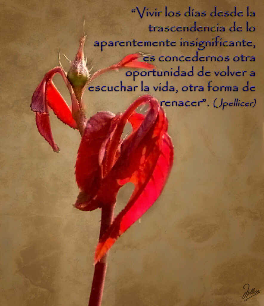 Aforismo: «Vivir los días desde la trascendencia de lo aparentemente insignificante, es concedernos otra oportunidad de volver a escuchar la vida, otra forma de renacer» Por Jpellicer.