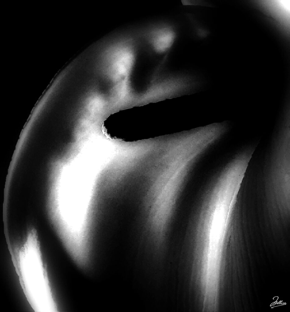 Calas en blanco y negro. Danza de luces y sombras en blanco y negro por Jpellicer.